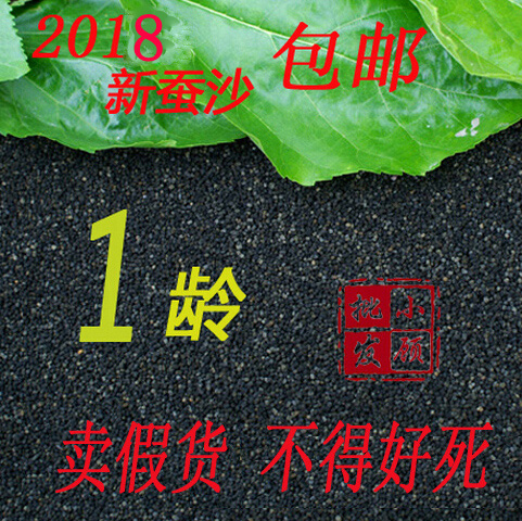 2018年新成人儿童枕头枕芯0龄1龄蚕砂散装/蚕沙/蚕屎蚕粪婴儿粑粑