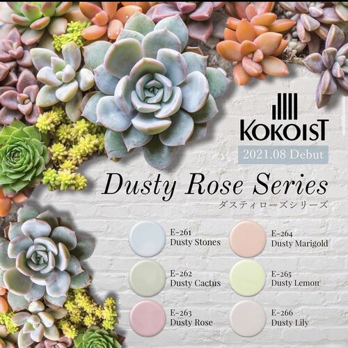 kokoist美甲色胶高饱和高延展性