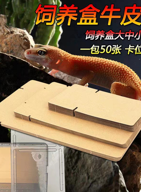 爬宠饲养盒牛皮纸垫材A6盒A4盒加厚垫纸宠物蛇守宫鬓狮蛇专用纸