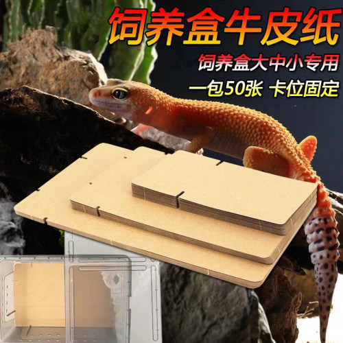 爬宠饲养盒牛皮纸垫材A6盒A4盒加厚垫纸宠物蛇守宫鬓狮蛇专用纸