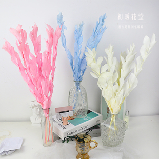 橘子叶永生花桔子叶天然真干花花束diy材料家居高级婚庆装饰摆件