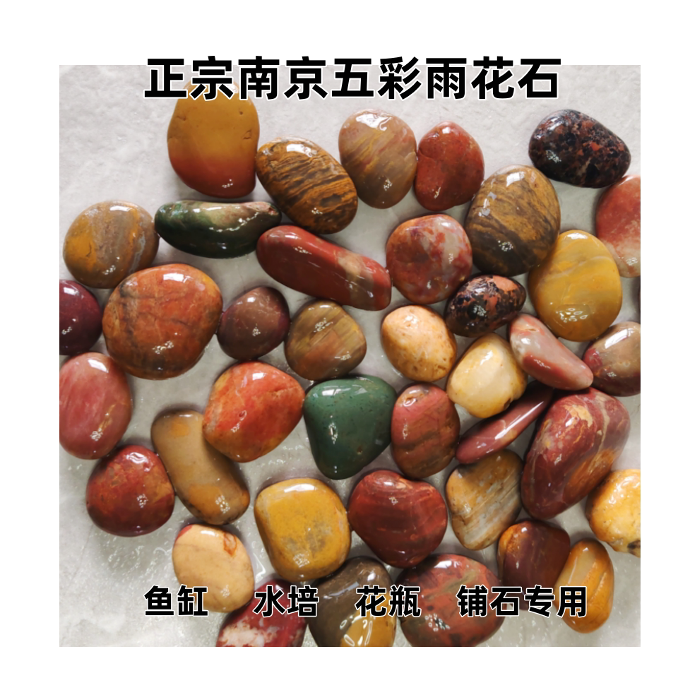 鱼缸造景不伤鱼花盆装饰不掉色