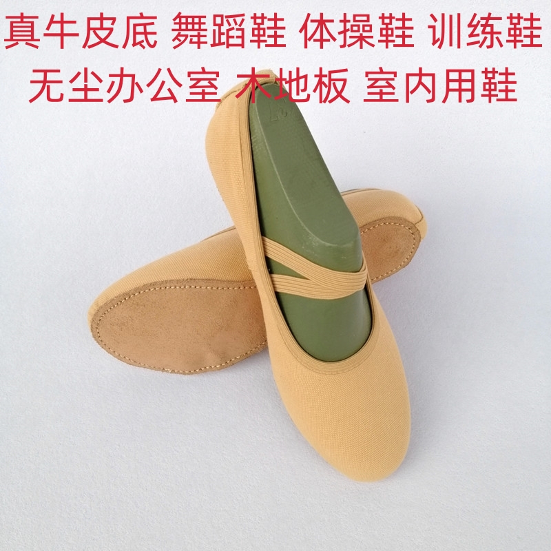 软底帆布成人男女室内舞蹈训练鞋