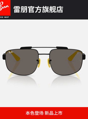 RayBan雷朋方形金属太阳镜