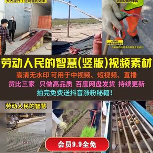 劳动人民智慧劳动节竖版高清视频素材抖音直播西瓜中视频超划算