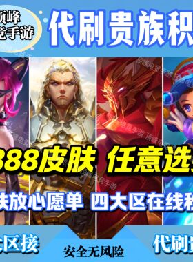 王者荣耀皮肤墨子龙骑士阿轲暗夜猫娘鲁班电玩小子项羽苍穹之光