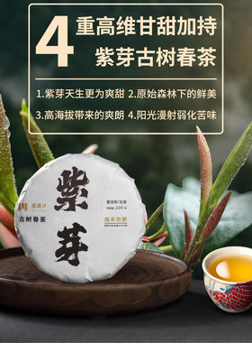 古树纯料紫芽春茶高香浓甜零农残