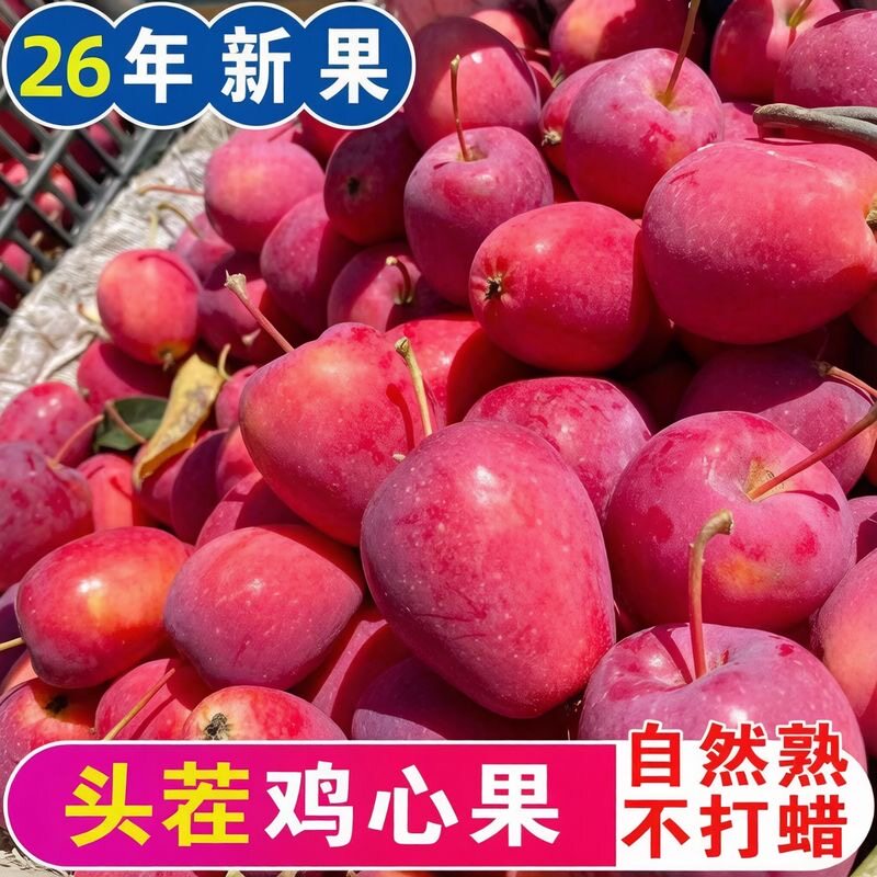 正宗东北鸡心果大果锦绣海棠酸甜水果脆冰糖心新鲜小苹果现摘批发