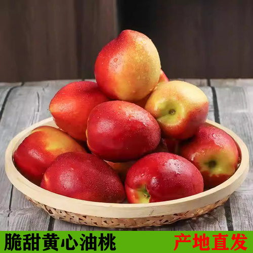 无毛桃应季新鲜黄心油桃中油四号