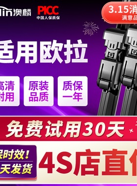 适用长城欧拉黑猫雨刮器好猫gt汽车原厂原装无骨雨刷胶条静音芭蕾