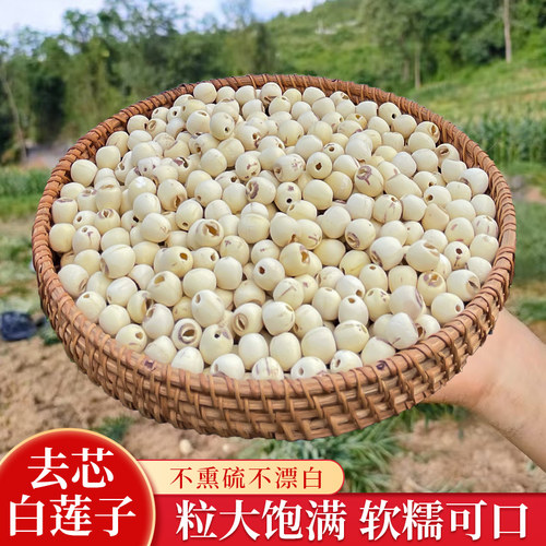 湘百莲湘潭白莲子干货磨皮去芯