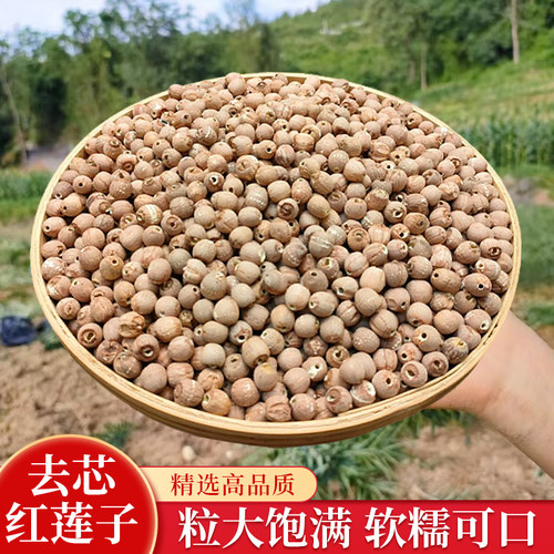 湘百莲湘潭红莲子干货粉糯莲子