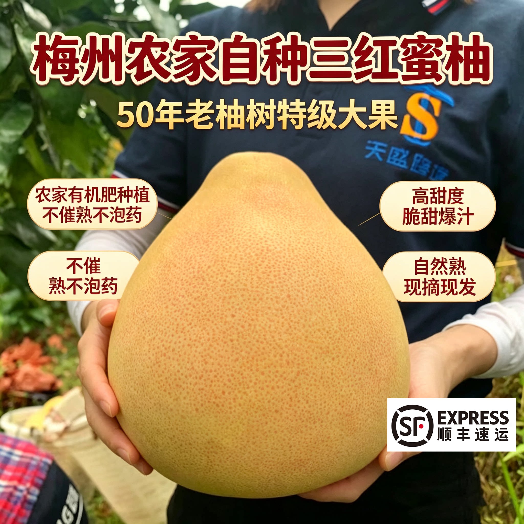 新鲜现摘水果三红蜜柚红心蜜柚