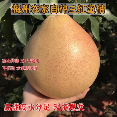 红肉蜜柚白肉孕妇水果现摘现发