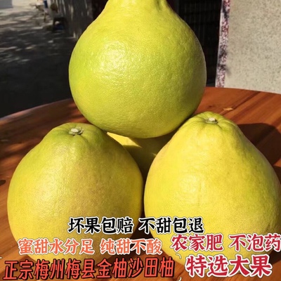 现货50纯甜沙田柚大果正宗梅州白肉白心孕妇水果当季新鲜柚子红柚
