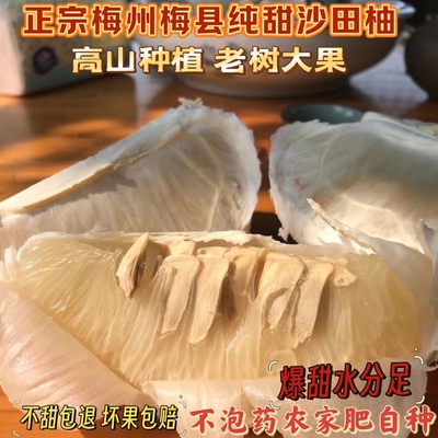 纯甜沙田柚当季纯甜金柚新鲜水果