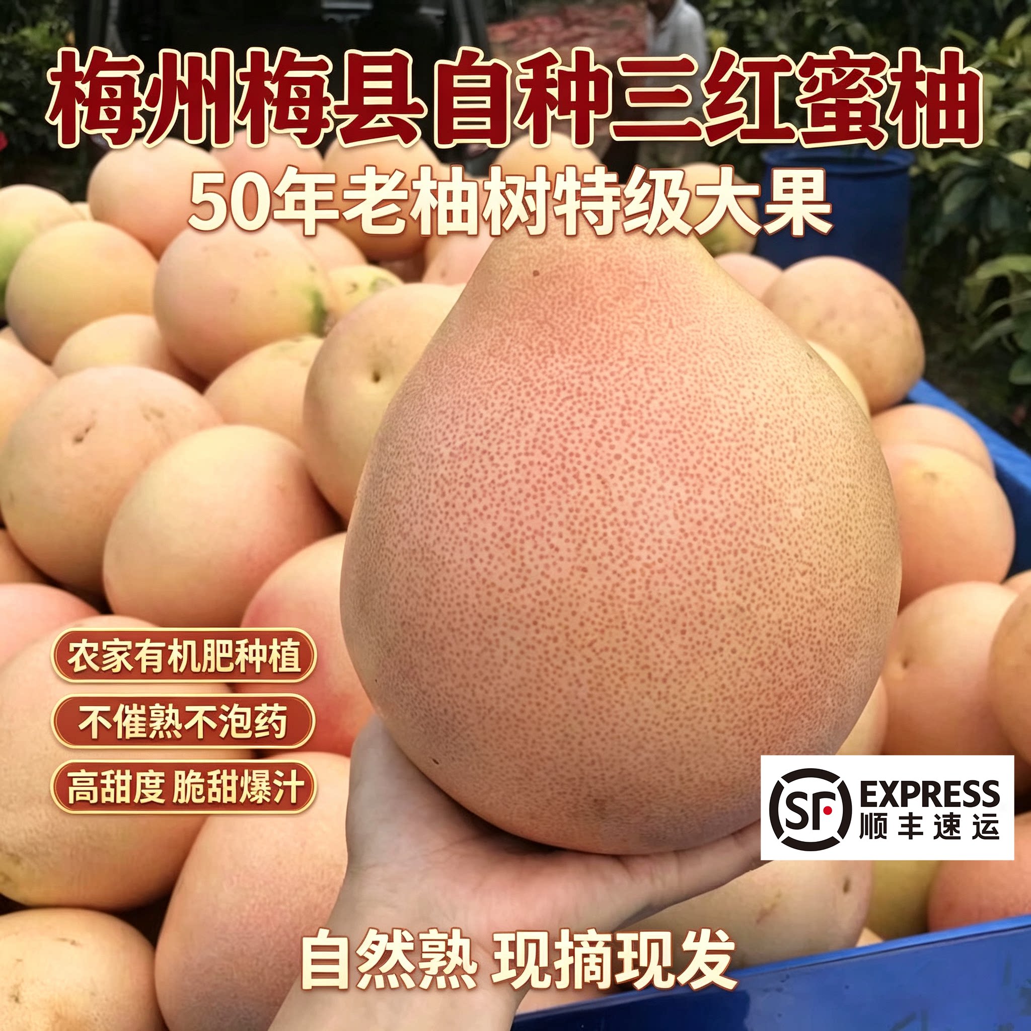 梅州蜜柚三红柚红心蜜柚白肉柚子