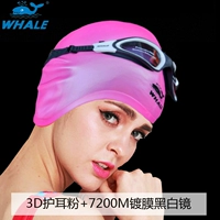 3D порошок + 7200 м. Черно -белое зеркало
