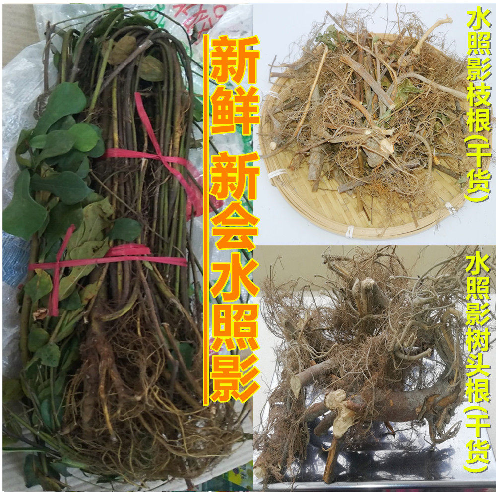 农家新会水照影新会整棵枝根树头根干货水照影煲汤食材农产品特产