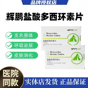 辉鹏多西环素片宠物消炎药猫狗通用支原体感染杯状猫鼻支咳嗽喷嚏