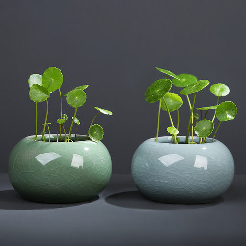 禄根花盆哥窑铜钱草花瓶清新桌面