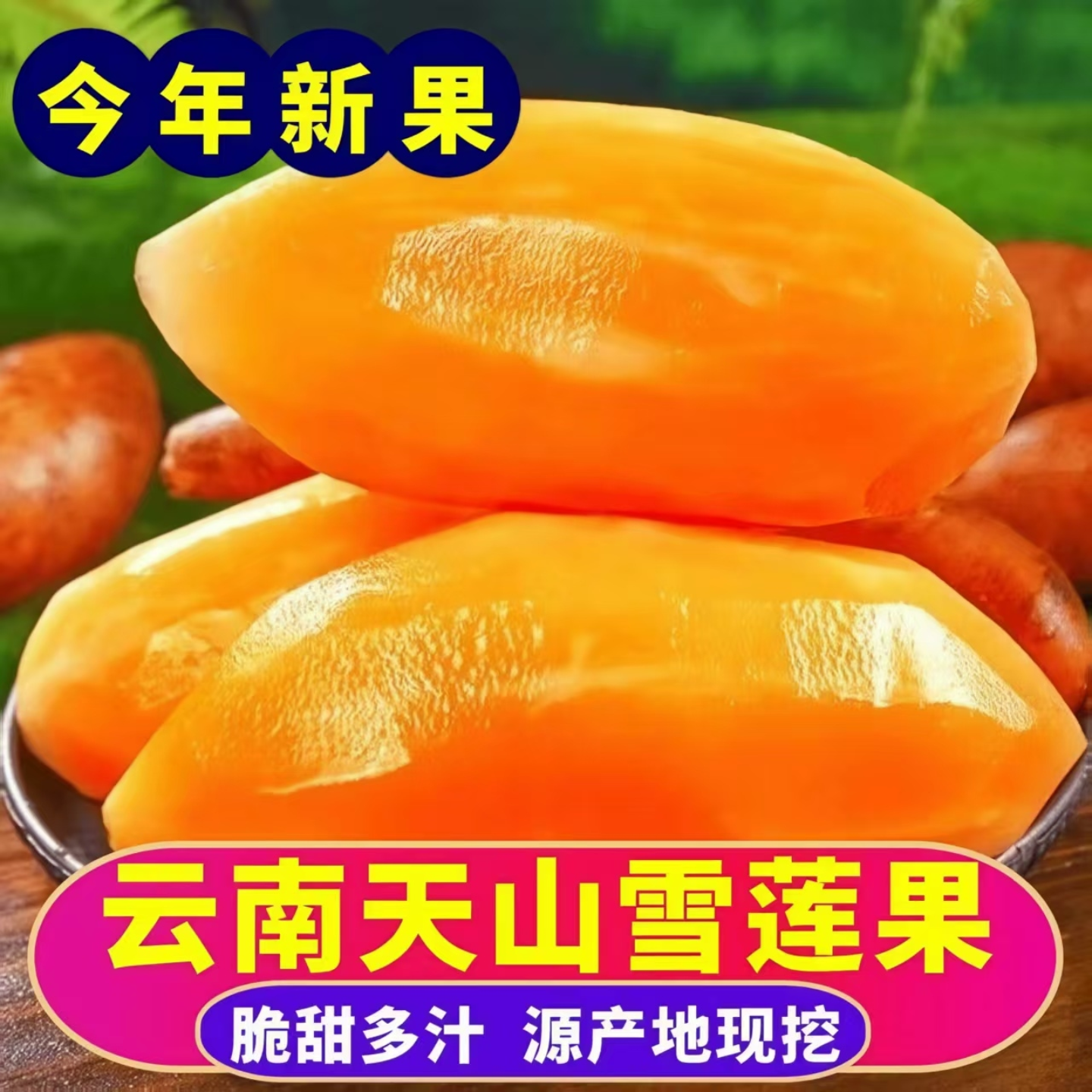 雪莲果新鲜水果云南天山现挖当季黄心低糖孕妇一级正宗雪莲果现货