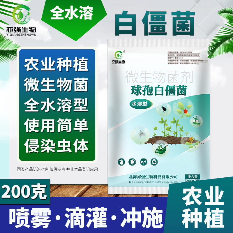 球孢白僵菌100亿全水溶粉剂防虫