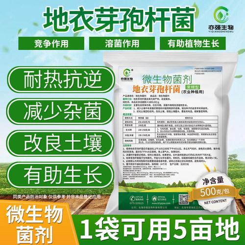 常规地衣芽孢杆菌微生物菌改良土壤肥效生根种植重茬