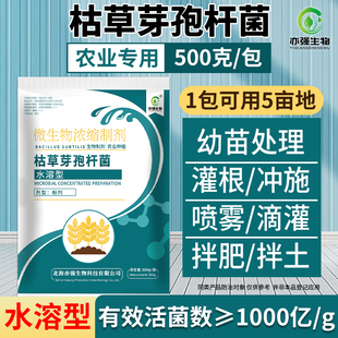 克 水溶型枯草芽孢杆菌降低根腐枯萎猝倒生根壮苗改良土壤1000亿