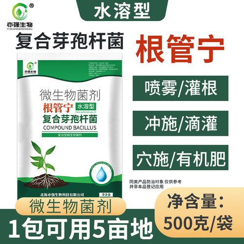 复合芽孢杆菌生根壮苗改良土壤