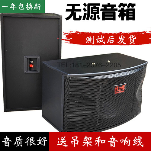 新款10寸家庭会议k歌挂式音箱