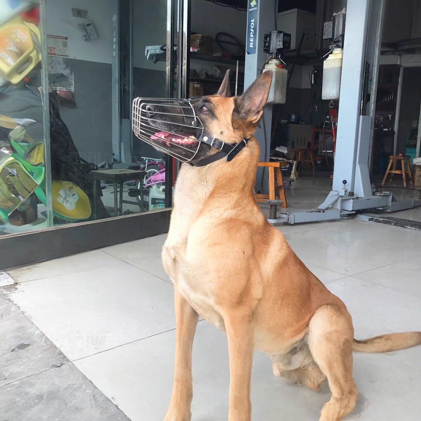 马犬专用狗狗嘴套防咬防叫防乱吃可调节中大型犬防误食口笼防咬人