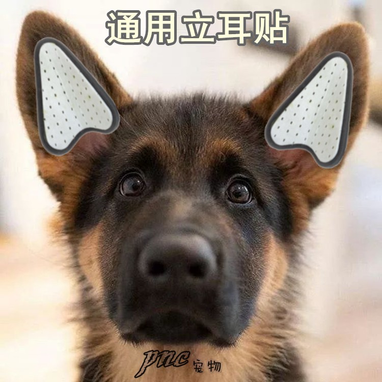 通用狗立耳贴耳托宠物耳朵矫正器德牧法牛马犬萨摩立耳器送胶水