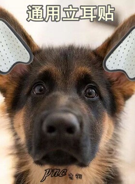 通用狗立耳贴耳托宠物耳朵矫正器德牧法牛马犬萨摩立耳器送胶水