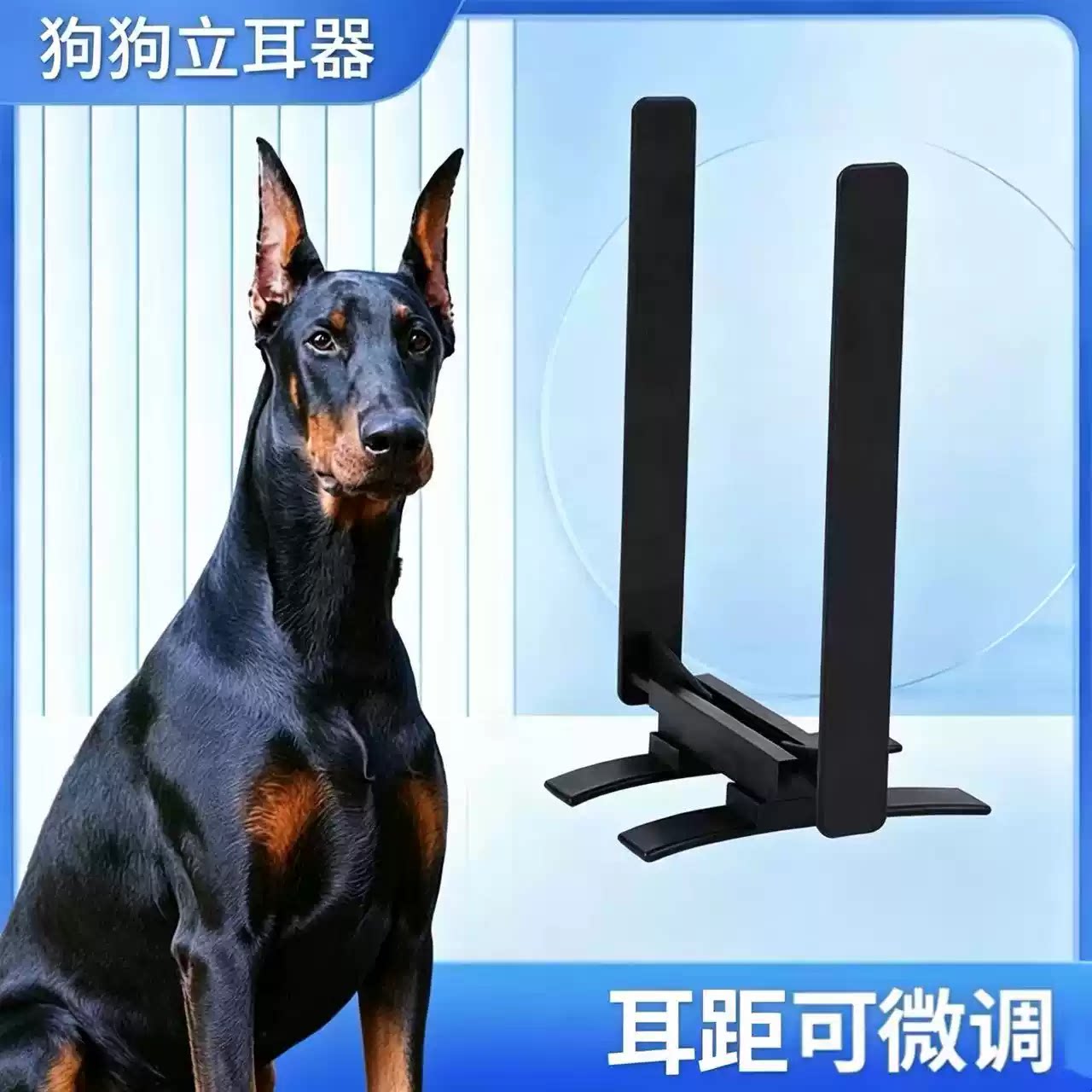 狗狗立耳器杜宾犬耳朵辅助器狼青幼犬矫正贴莱州红德牧立耳支架