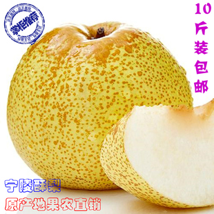 果农直销宁陵梨河南酥梨现摘非砀山梨子香梨新鲜水果梨酥梨香梨水