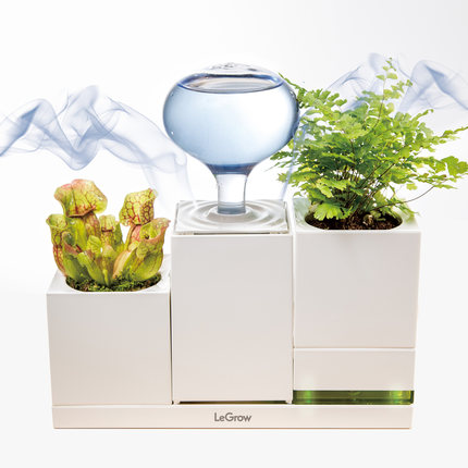 LeGrow加湿器植物套装 4个USB供电口 家用小型办公室桌面盆栽补水