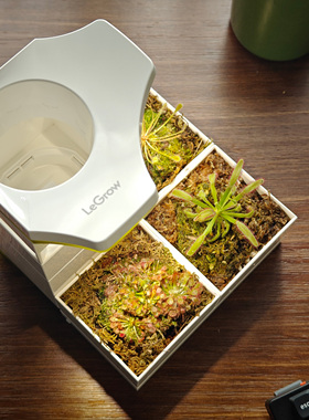 茅膏菜花盆含补光灯 LeGrow10228 桌面组合白方盆食虫多肉植物