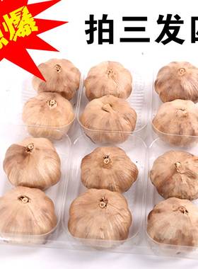 黑蒜多瓣500G实惠装山东特产