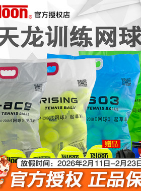 Teloon天龙网球801初学603复活rising进阶训练球ace高弹耐磨袋装