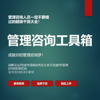 企业战略及运营业务流程管理HR及企业文化财务管理咨询工具箱TB12