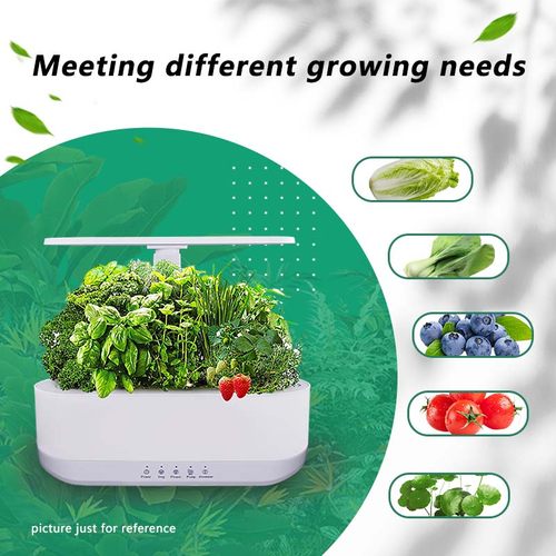 带雾化功能儿童科普老人种菜育苗