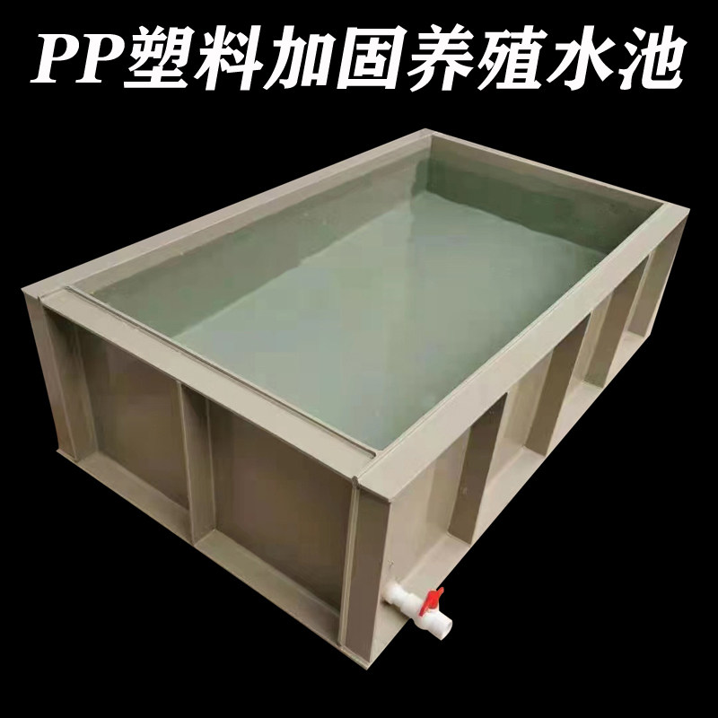 订做PP塑料大型加固 养殖观赏花园鱼池锦鲤池 乌龟兰寿水箱海鲜箱