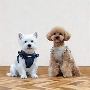 宠物花边马甲狗户外飞袖一体胸背牵引绳日韩宠物用品中小型犬胸背