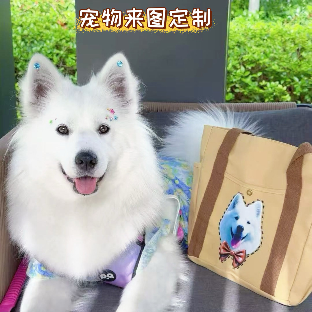 宠物包定制 内衬双兜拉链帆布袋升级版大容量包包托特包帆布百搭