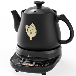 小熊煎药壶中药壶家用全自动煮茶器电煎中医壶电砂锅熬药罐煎药锅