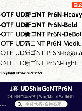 UDShinGoNTPr6N A-OTF UD新ゴNT Pr6N A-OTF  日文字体素材