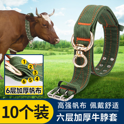 加厚栓牛脖套抓羊神器牛羊项圈牛脖子套拴牛专用绳子新款牛龙头套