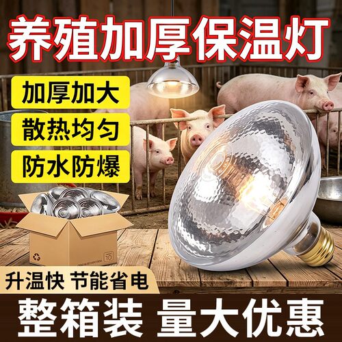 猪博士保温灯养殖场专用猪用小鸡育雏猪场取暖灯养殖加热灯泡烤灯