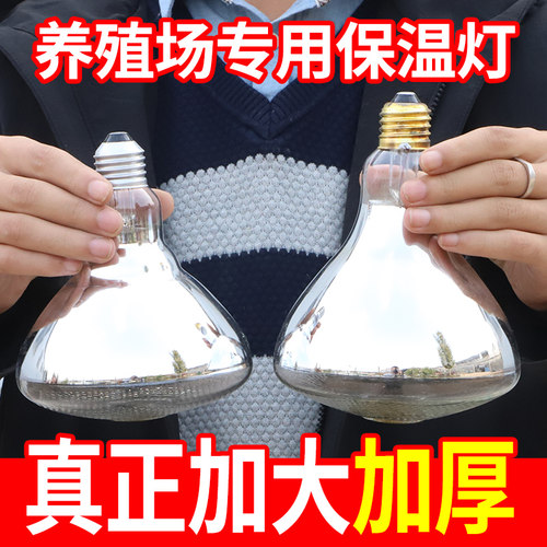 仔猪用保温灯小鸡育雏猪场养殖取暖灯泡兽用加热保暖养殖场专用 - 封面